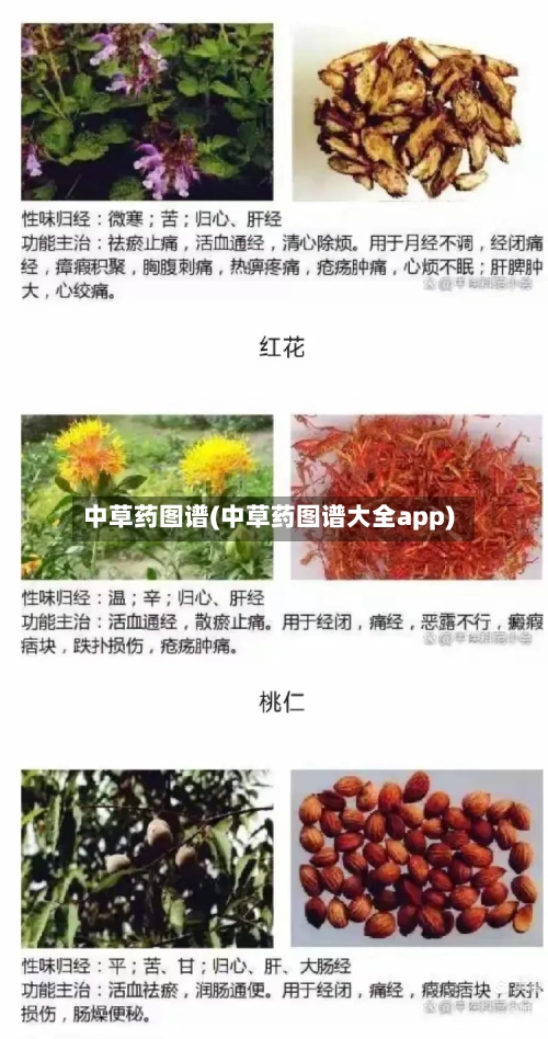 中草药图谱(中草药图谱大全app)