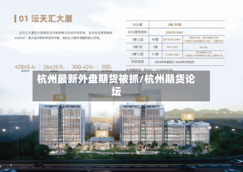 杭州最新外盘期货被抓/杭州期货论坛