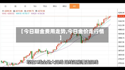 【今日期金费用走势,今日金价走行情】-第2张图片