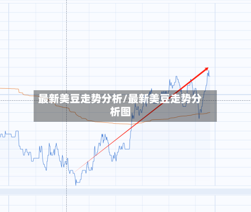 最新美豆走势分析/最新美豆走势分析图