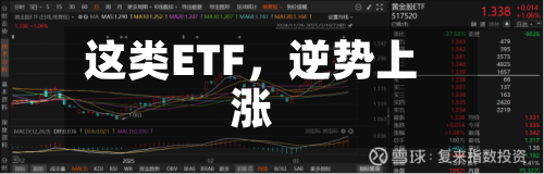 这类ETF，逆势上涨-第2张图片