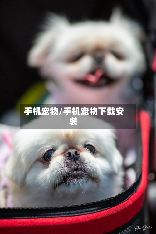 手机宠物/手机宠物下载安装