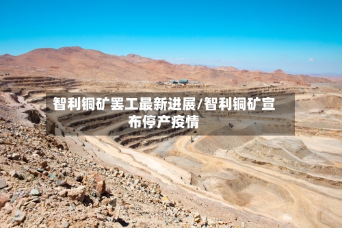 智利铜矿罢工最新进展/智利铜矿宣布停产疫情-第3张图片