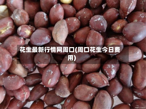 花生最新行情网周口(周口花生今日费用)