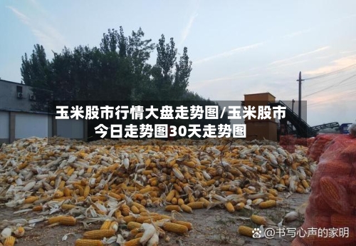 玉米股市行情大盘走势图/玉米股市今日走势图30天走势图
