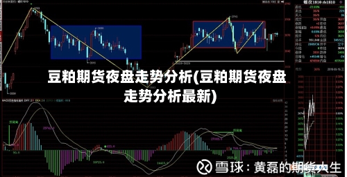 豆粕期货夜盘走势分析(豆粕期货夜盘走势分析最新)
