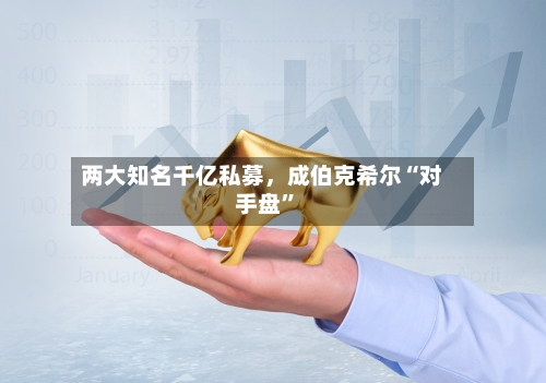 两大知名千亿私募，成伯克希尔“对手盘”-第3张图片