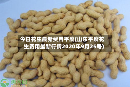 今日花生最新费用平度(山东平度花生费用最新行情2020年9月25号)-第3张图片