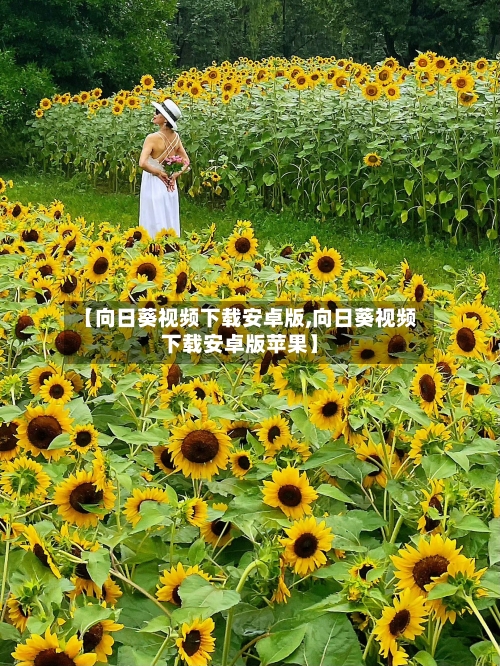 【向日葵视频下载安卓版,向日葵视频下载安卓版苹果】