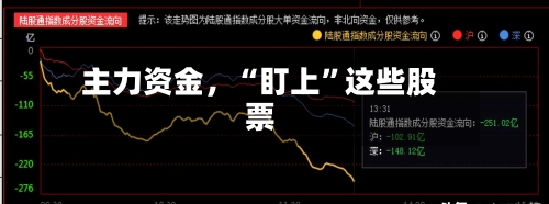 主力资金，“盯上”这些股票