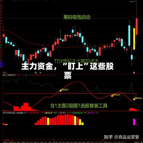 主力资金	，“盯上”这些股票-第2张图片