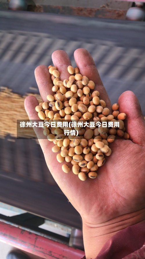 徐州大豆今日费用(徐州大豆今日费用行情)-第3张图片