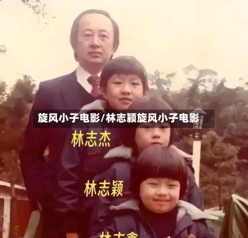 旋风小子电影/林志颖旋风小子电影