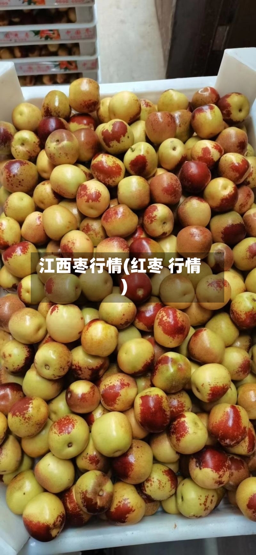 江西枣行情(红枣 行情)
