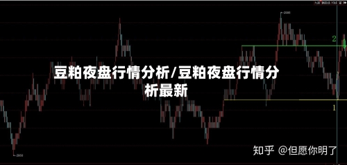 豆粕夜盘行情分析/豆粕夜盘行情分析最新