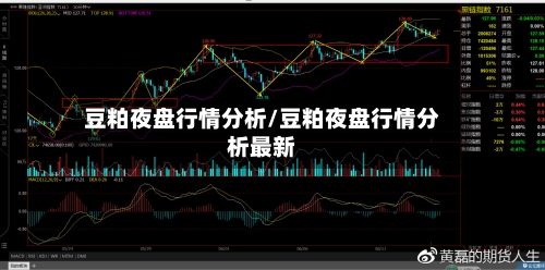豆粕夜盘行情分析/豆粕夜盘行情分析最新-第3张图片
