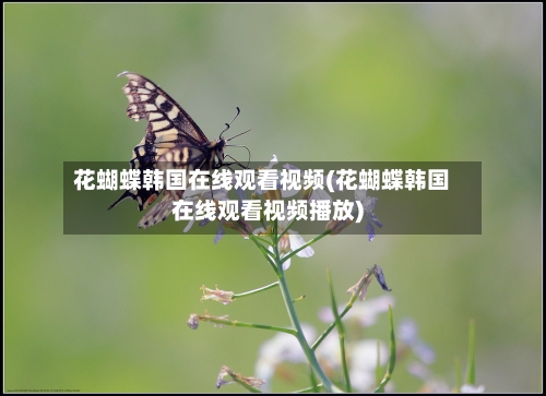 花蝴蝶韩国在线观看视频(花蝴蝶韩国在线观看视频播放)
