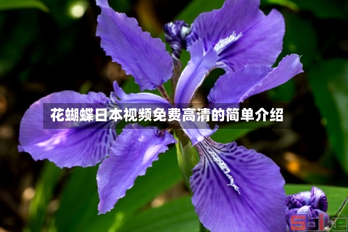 花蝴蝶日本视频免费高清的简单介绍-第3张图片