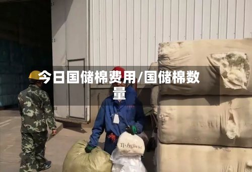 今日国储棉费用/国储棉数量-第2张图片