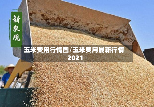 玉米费用行情图/玉米费用最新行情2021-第2张图片