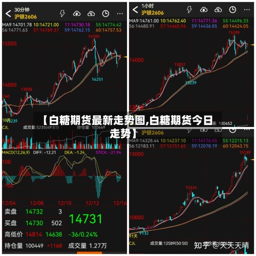 【白糖期货最新走势图,白糖期货今日走势】-第3张图片