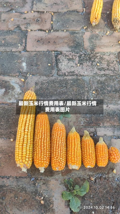 最新玉米行情费用表/最新玉米行情费用表图片