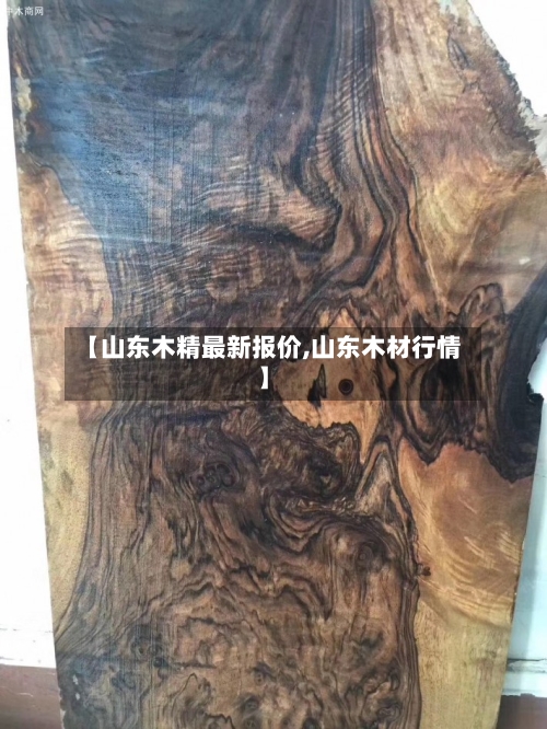 【山东木精最新报价,山东木材行情】