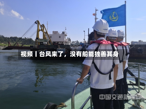 视频丨台风来了，没有船能独善其身