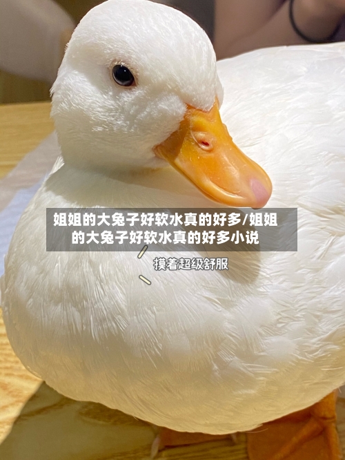 姐姐的大兔子好软水真的好多/姐姐的大兔子好软水真的好多小说