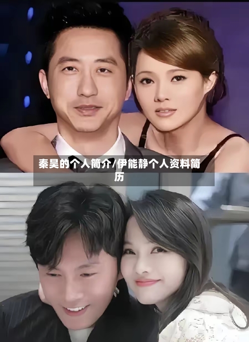 秦昊的个人简介/伊能静个人资料简历