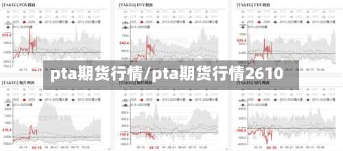 pta期货行情/pta期货行情2610-第2张图片