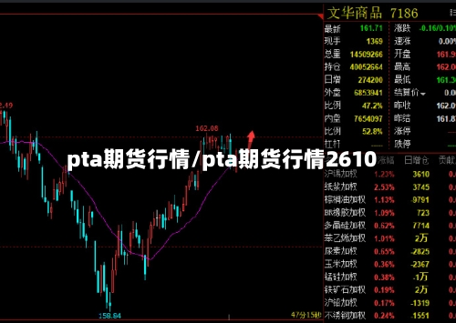 pta期货行情/pta期货行情2610-第3张图片