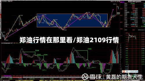 郑油行情在那里看/郑油2109行情-第2张图片