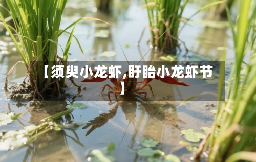 【须臾小龙虾,盱眙小龙虾节】-第2张图片