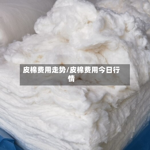 皮棉费用走势/皮棉费用今日行情