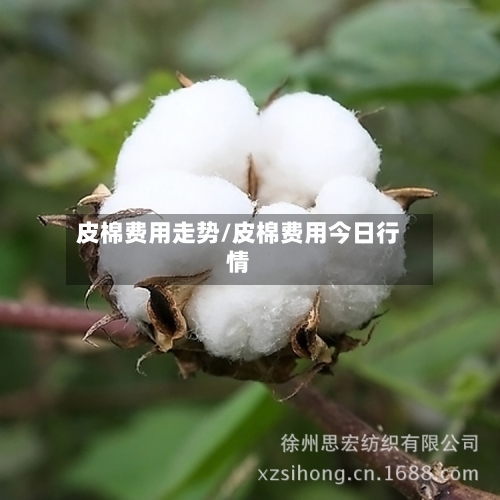 皮棉费用走势/皮棉费用今日行情-第2张图片